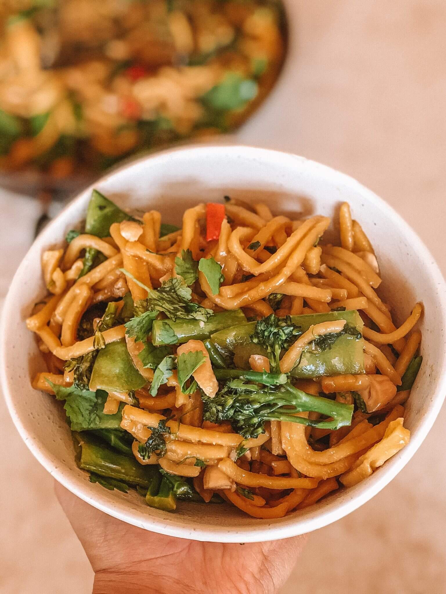 Hokkien Noodle Vegetable Stir Fry Recipe